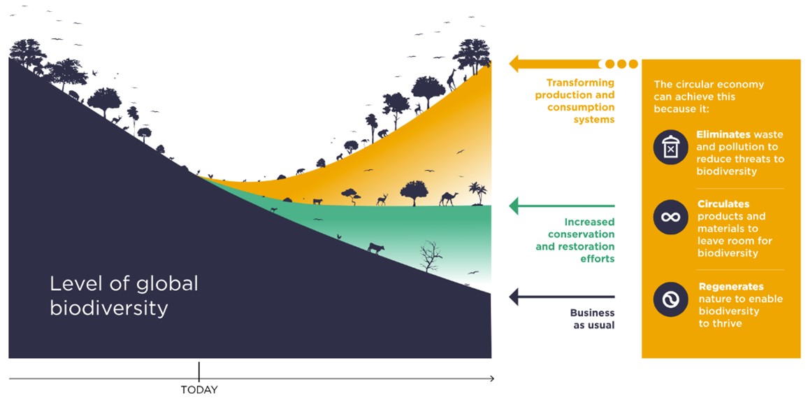 Circulaire economie draagt bij aan herstel biodiversiteit
