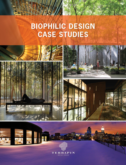 Biofiele ontwerp van gebouwen stimuleert werknemers